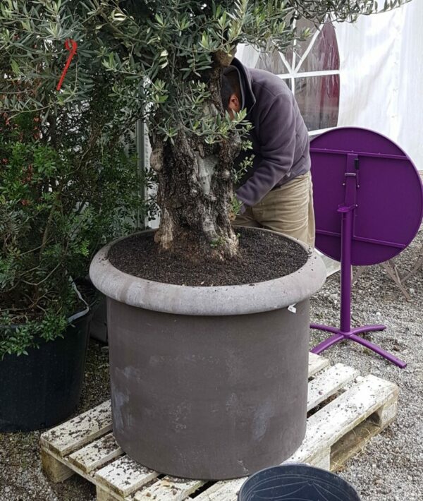 Topf Enrico 70cm anthrazit – Bild 3